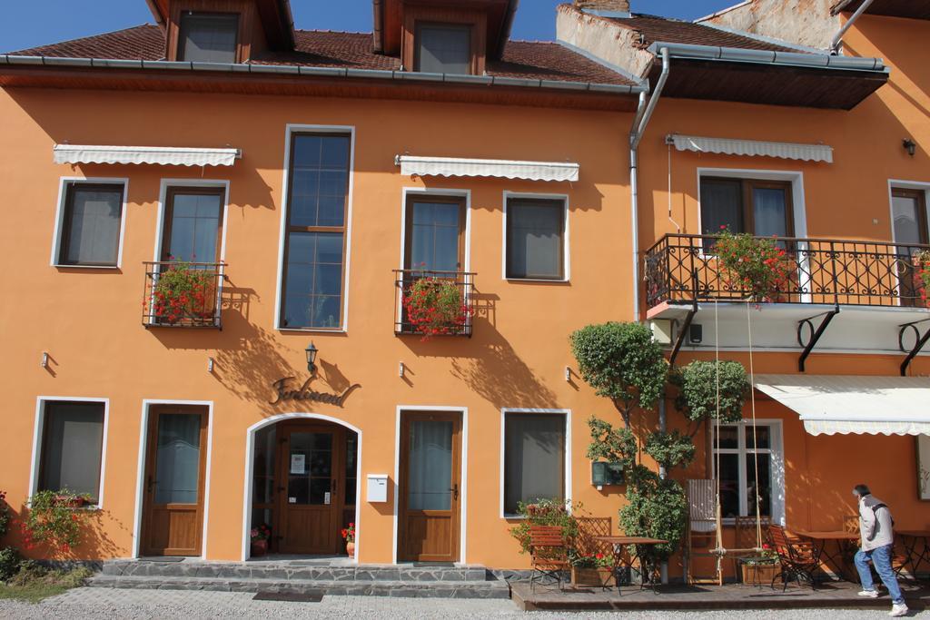 Pension Ferdinand Panzio Sfantu Gheorghe  Exterior photo